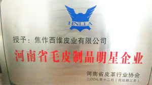 资质荣誉