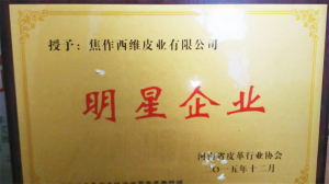 资质荣誉
