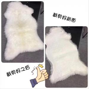 皮型