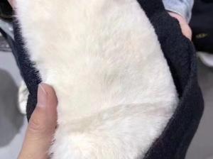 服装