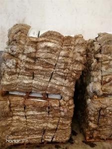 各种皮型