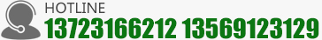 13723166212