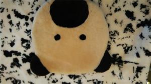 Sofa cushion