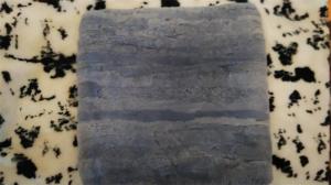 Sofa cushion