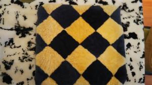 Sofa cushion