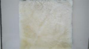 Sofa cushion